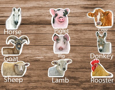 Sheep Sticker Farm Animal Sticker Watercolor Sticker Laminated Vinyl Die Cut Sticker Animal Stickers Sheep Gifts Farm Gifts Barnyard Animals - image3